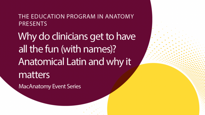 Why do clinicians get to have all the fun (with names)? Anatomical Latin and why it matters