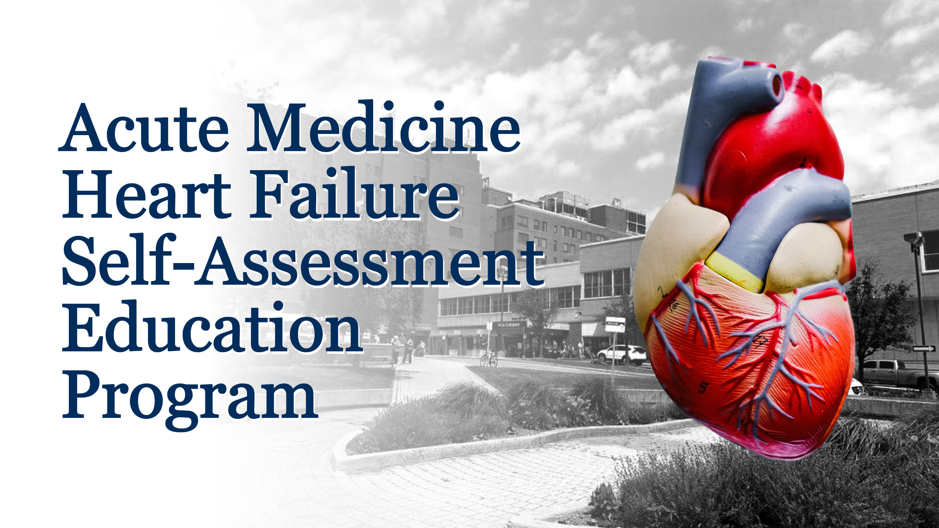 Acute Medicine Heart Failure Self-Assessment Education Program