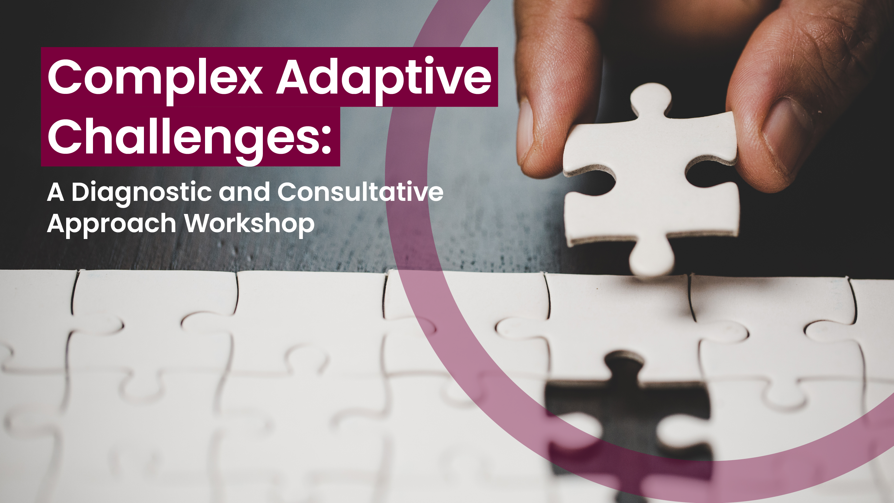 Complex Adaptive Challenges: A Diagnostic and Consultative Approach Workshop