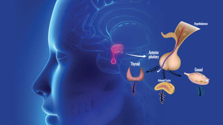 20th Annual Canadian Endocrine Update Scientific Meeting